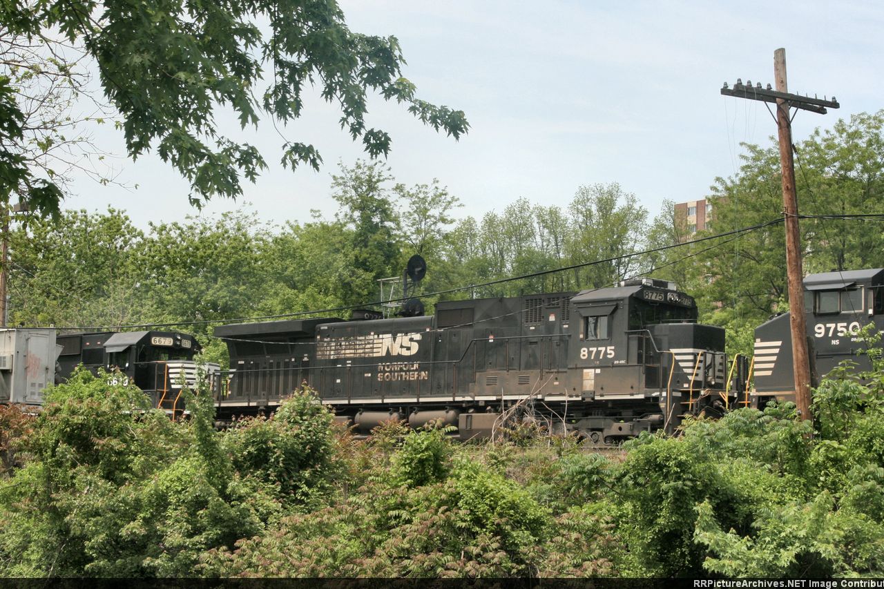 NS 8775